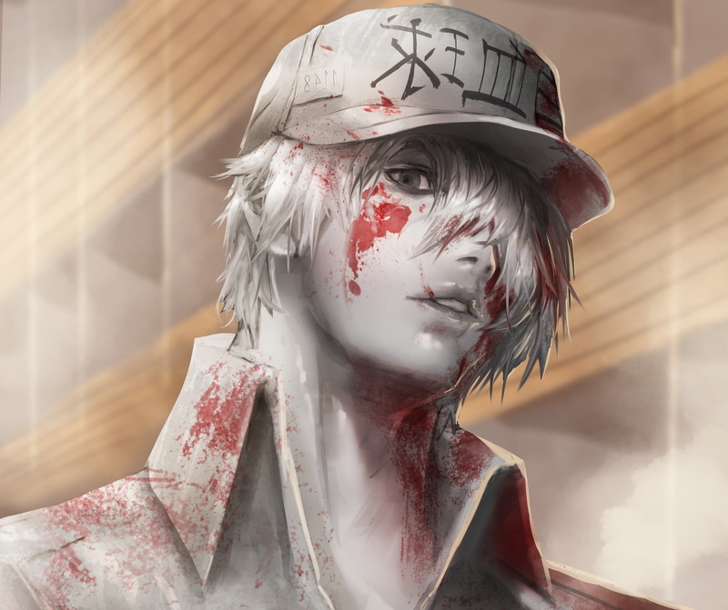Anime, U-1146 (Cells At Work!), 1080P, Cells at Work!