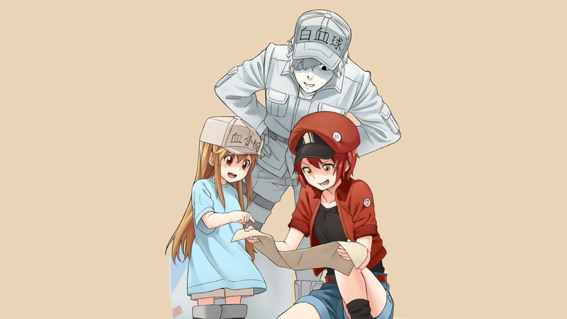 Cells at Work!, U-1146 (Cells At Work!), 1080P, Anime, AE3803 (Cells at Work), Platelet (Cells at Work!)