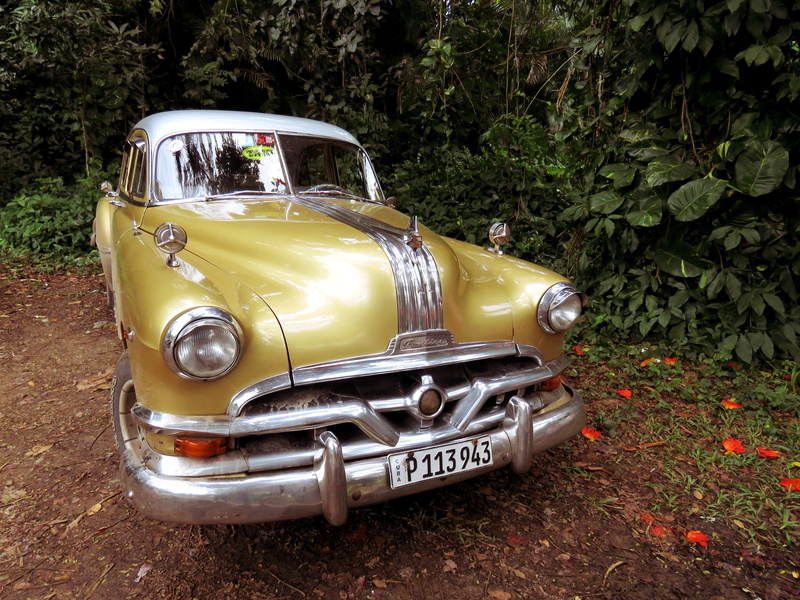 auto, silver colored, land, american, plant, headlight, retro styled, no people, outdoors, car, old car, 4K, bumper, old timers, stationary, day, retro