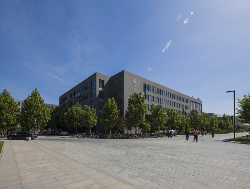 building, nature, building exterior, tree, built structure, outdoors, growth, street, sky, shijiazhuang, footpath, blue, modern, architecture, 4K, office building exterior