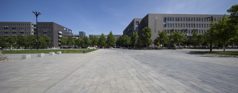 campus, footpath, street, skyscraper, building exterior, day, concrete, photograph, tree, cityscape, paving stone, modern, city, urban skyline, road, nature
