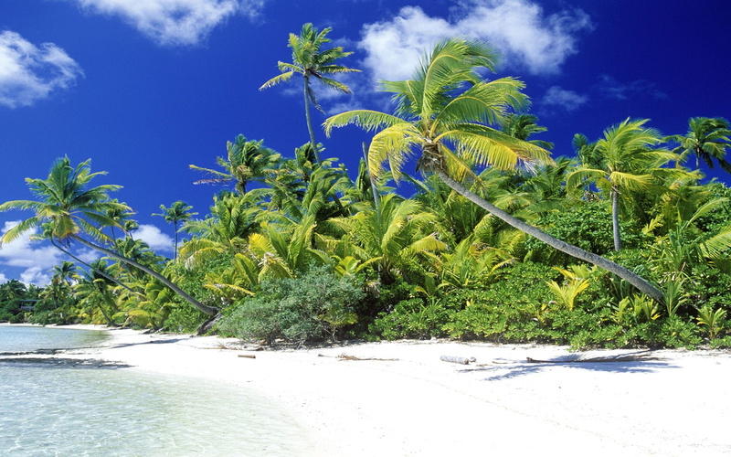 solomon, beach, 2K, palm, normal, islands