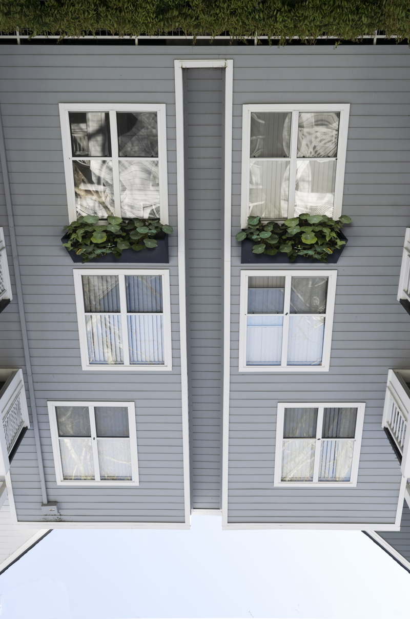 style, potted plant, architecture, building exterior, normal, building, residential district, reflection, window, no people, built structure, strange, glass - material