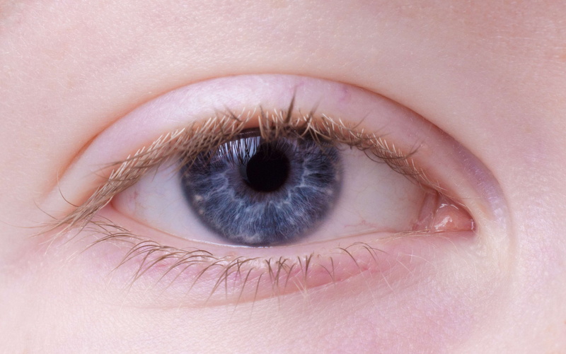 female, women, girl, blonde eyelashes, close-up, extreme close-up, of course, indoors, blue, eyelids, full frame, blond, eyelash, iris, sensory perception