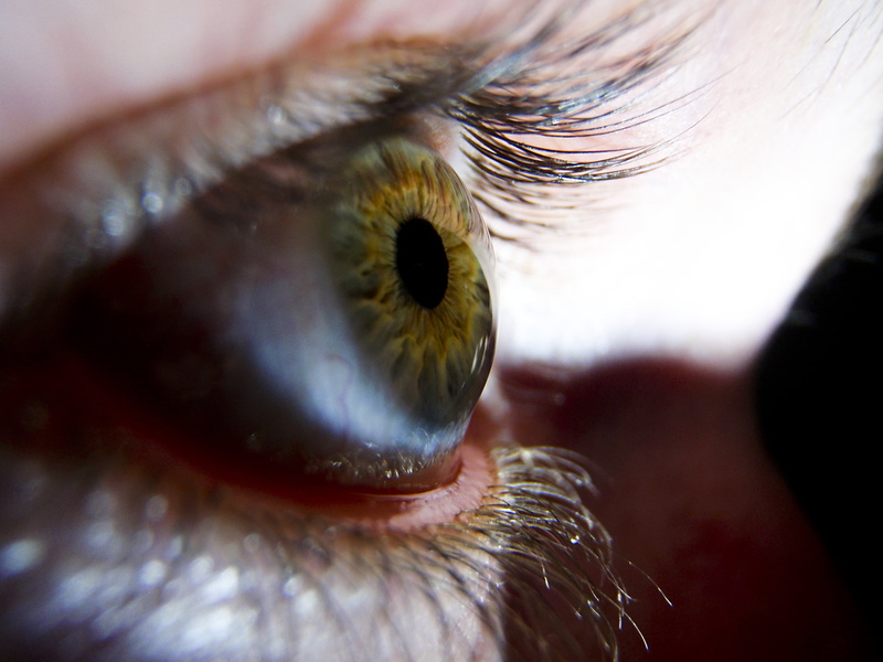 mascara, portrait, reflection, body part, color Image, human Face, macro, human Eye, nature, fashion, eyebrow, extreme close-up, close-up, human Skin, eyeball