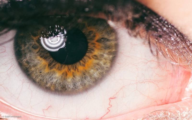eye, lifestyles, close-up, young adult, eyelash, human, females, eyelid, human body part, beauty Product, eyesight, eyelashes, beautiful woman, real people