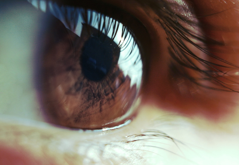 body part, extreme close-up, eyelid, human body part, eyebrow, women, eyelash, young Adult, beauty, pupil, iris - Eye, eye, one Person, human Face, sensory perception