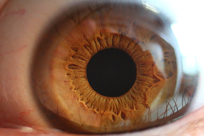 macro, eye, one person, human body part, circle, eyeball, close, geometric shape, see, sensory perception, iris, 5K, body part, eyelash, extreme close-up