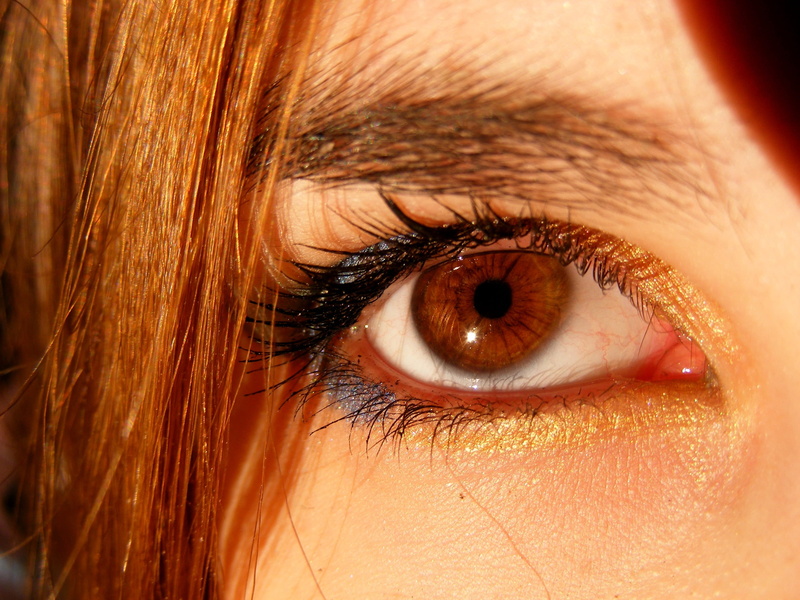 eyebrow, looking, teenager, Brown, human body part, yellow, portrait, eyeball, adult, beautiful woman, beauty, brown, young adult, Brown, women, eyelid