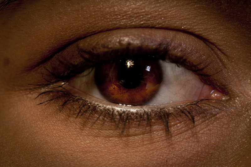 adult, human Eye, iris, one Person, color Image, looking at camera, s, iris - Eye, human body part, looking, eyelash, eyebrow, eyelid, caucasian Ethnicity