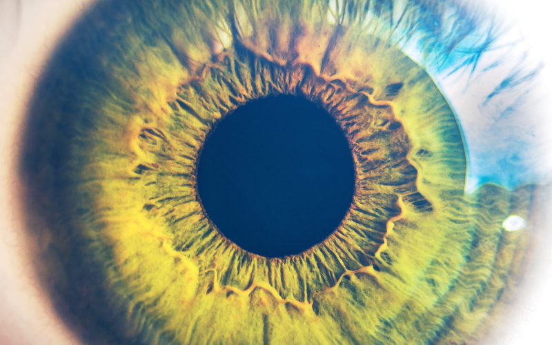 body part, iris - eye, macro, human eye, circle, flare, eye, indoors, pupil, nature, blue, sensory perception, 4K, blue eyes, geometric shape, one person