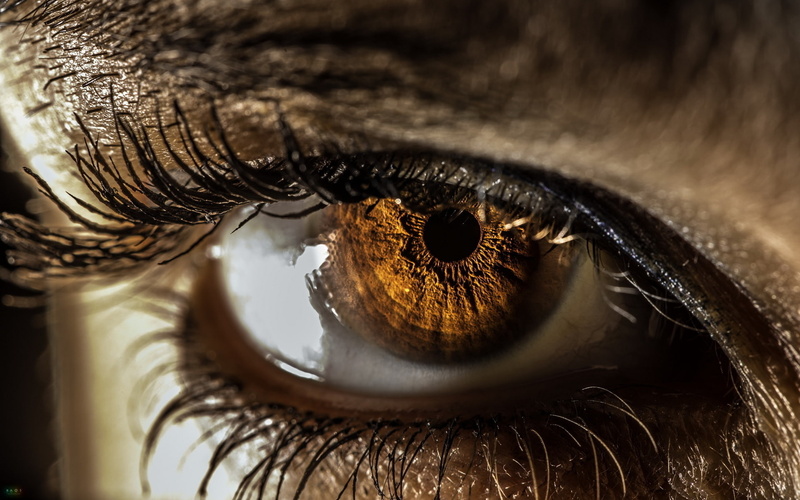 eye, eyelash, iris, pupil, 1080P