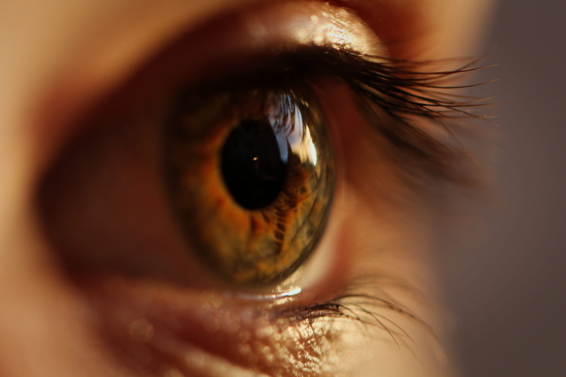 iris, eyesight, close-up, iris - eye, eyeball, selective focus, close, human eye, eye, eyebrow, eyelash, adult, brown eyes, one person, s, photography