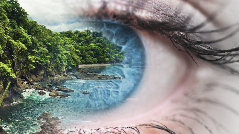 macro, photoshop, tranquility, beautiful, see, flowing water, women, day, human, one person, 2K, power in nature, sea, close-up, plant, human body part