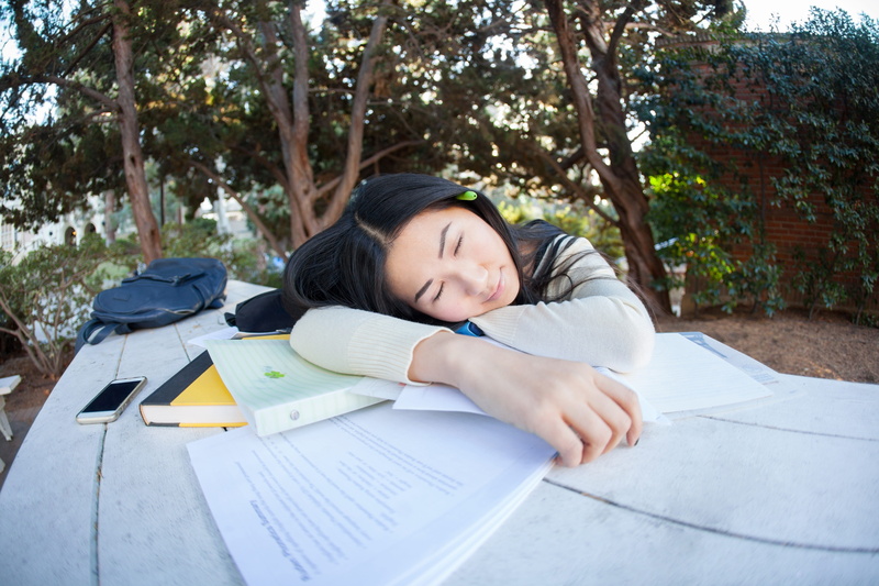 pupil, 5K, focus on foreground, tree, one person, plant, studying, bench, front view, outdoors, woman, real people, napping, publication, tired, young adult