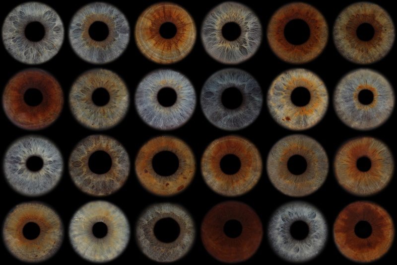 2K, eyes, pupil, art, hd, textures, abstract