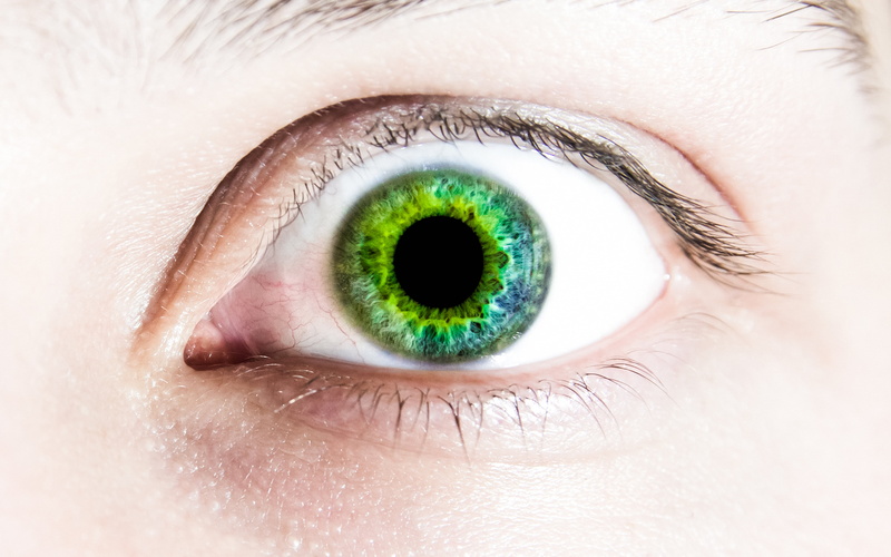 close-up, people, iris - eye, green, adult, blue eyes, human body part, pupils, left, person, 5K, portrait, eyebrow, human face, pupil, eyelash, looking at camera