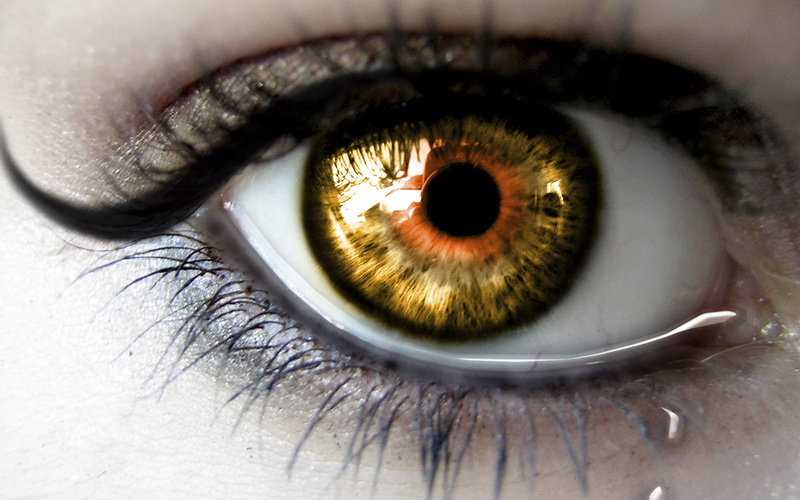 eyebrow, human, tear, human Face, close-up, beautiful, macro, eyesight, looking, aquula, Eyes, white, hazel eyes, body part, people, looking at camera