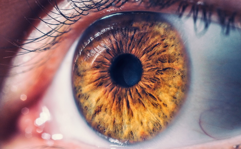 eyelid, eye, 2K, brown, iris