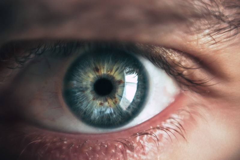 iris - eye, adult, looking at camera, human eye, blue, woman, eyeball, eyebrow, green eyes, macro photo, sensory perception, macro photography, eye, macro eye