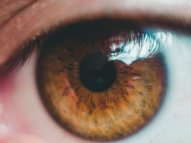 macro, eyesight, young adult, one person, eye, brown, 4K, photography, fibers, human eye, body, close-up, iris - eye, hazel eyes, eyebrow, portrait, men