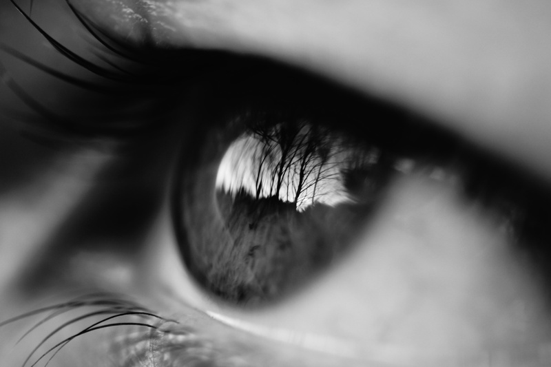 4K, eyelash, macro, body part, adult, selective focus, human body part, eyesight, close-up, sensory perception, eyelashes, beautiful woman, women, one person