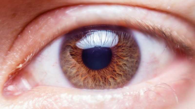 macro, portrait, human body part, eyesight, 1080P, offspring, close-up, human, close up, child, extreme close-up, iris - eye, eyelash, eyeball, vision