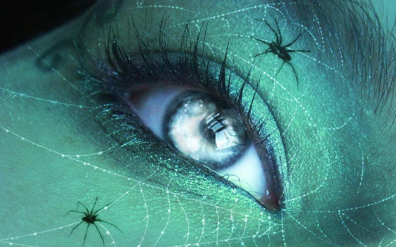 one Person, eye, eyelid, two, human Eye, make-up, real people, extreme close-up, body part, iris - Eye, 1080P, spiders, unrecognizable person, adult, style