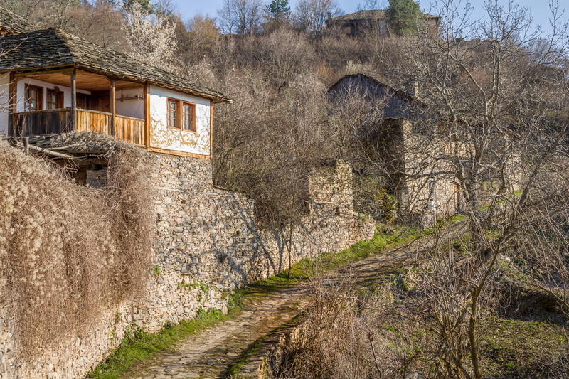 growth, spring, architecture, building exterior, 5K, weathered, bare tree, history, building, tranquility, bulgaria, the past, tree, stones, plant, old house