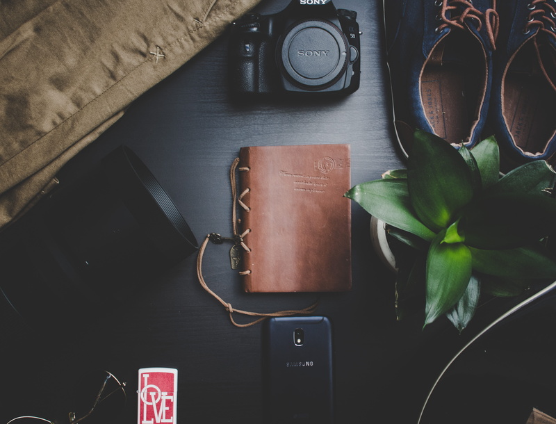 close-up, sunglasses, dark, dslr, plant part, music, equipment, leaf, table, technology, lens, high angle view, leather, brown, plant, indoors, gadgets