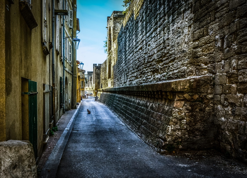 outdoor, gray, provence, old, wall - building feature, stone wall, shadow, nature, building exterior, sitting, france, Cat, shade, feral, concrete, architecture