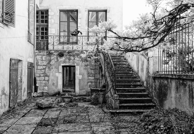 building exterior, tree, vézelay, Concrete, abandoned, case, lonely, old, wrought iron, leave, black and white, entrance, building, nature, black, outdoors
