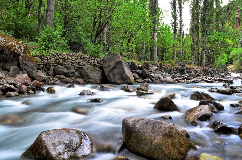 forest, tree, garden, beautiful, open air, fish, flowing, power in nature, beauty In Nature, water, blurred Motion, rock - Object, hunt, non-urban scene