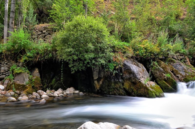 solid, tree, natur, flowing water, scenics - nature, River, travel, outdoors, background, rock - object, green color, bridge, open air, beautiful, tranquil scene