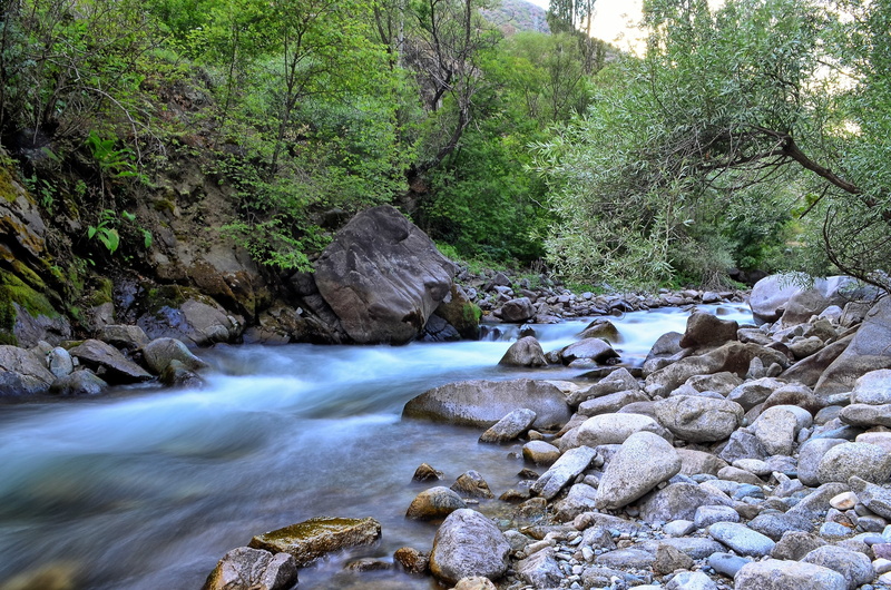 environmental, growth, day, tree, green Color, mountain, motion, travel, the stones are, land, outdoors, stream, ispir, beautiful, authentic, scenics, rock - Object