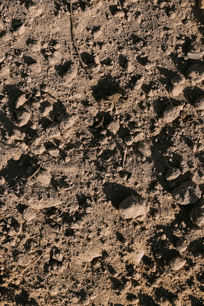 land, close, earth, ups, mud, footprint, no people, full frame, nature, dry, surface, 2K, background, close-ups, closeup, backgrounds, various, sunlight