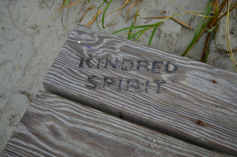 tree, plant, surface, history, the past, boardwalk, wood - material, emotion, brown, sand, spirit, western script, architecture, old, close, close-up, high angle view