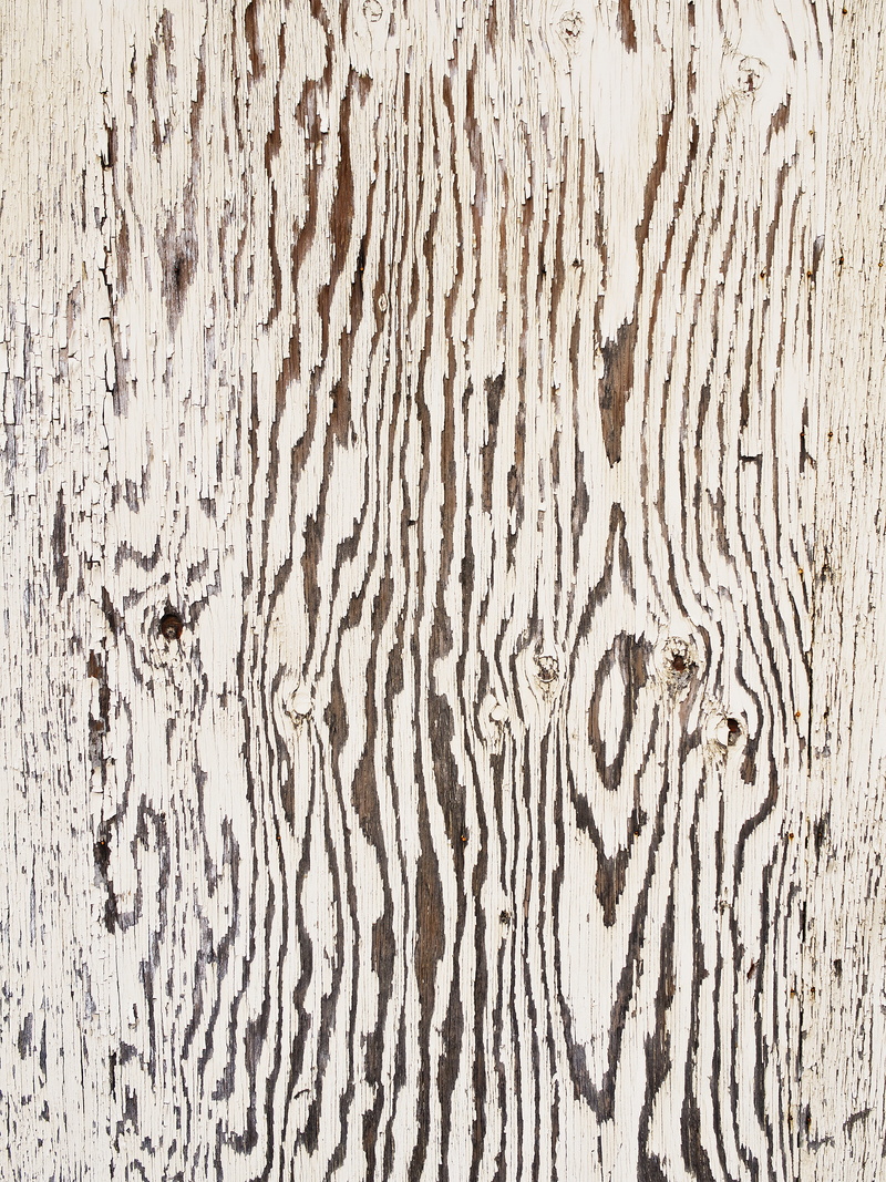 close-up, exterior, white, wood grain, full frame, rough, damaged, weathered, outdoors, no people, close, aged, texture, wood - material, brown, trunk