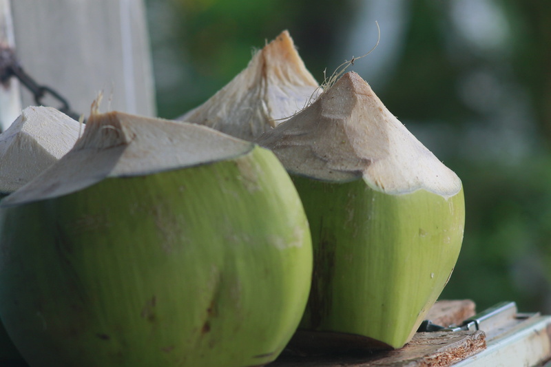 freshness, wooden, outdoors, four, focus on foreground, nature, fruit, beauty in nature, growth, thailand, close, plant part, day, food and drink, coconut