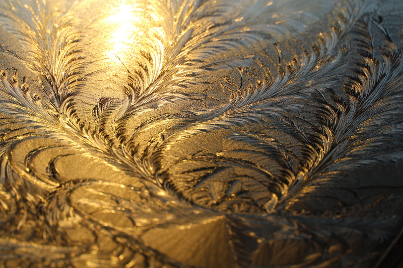 selective focus, no people, wooden, glass, natural pattern, outdoors, day, close-up, macro, photography, iced, floral, nature, cold, growth, eiskristalle