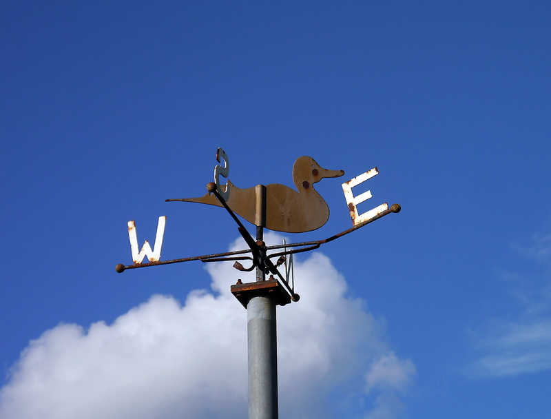 forecast, no people, bird, environment, outdoors, rural, wind vane, sign, animal themes, animal wildlife, blue, metal, wind, direction, weathervane, low angle view