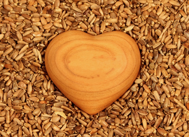 love, cereal plant, no people, brave, relationship, shape, organic, brown, flirtation, seeds, still life, gift, close-up, congratulation, life, decoration