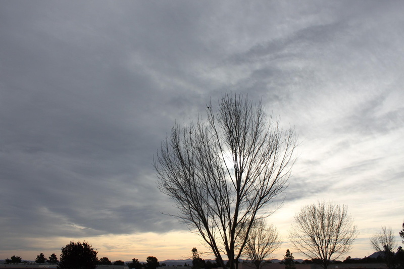 tree, dark, 1080P, clouds, despair, 3d and abstract, gloomy