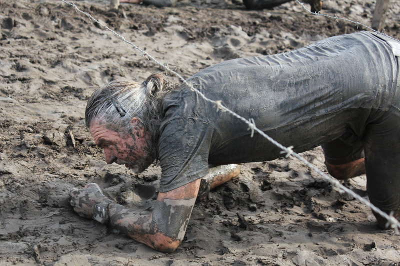 mud, one animal, dirt, animals in the wild, animal wildlife, training, no people, outdoors, 5K, mammal, dirty, domestic animals, land, focus on foreground