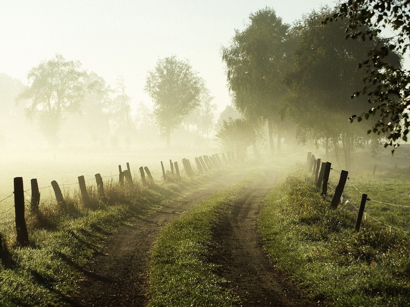 wooden post, fog, sunrise - Dawn, autumn, grass, land, landscape, fence, day, tranquil Scene, sunset, meadow, no People, scenics, forest, boundary, road