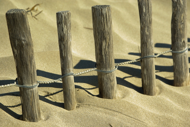 barrier, land, stakes, tranquility, outdoors, day, dunes, shadow, sunlight, wood - material, boundary, sand, 4K, nature, fence, safety, beach, post, plant