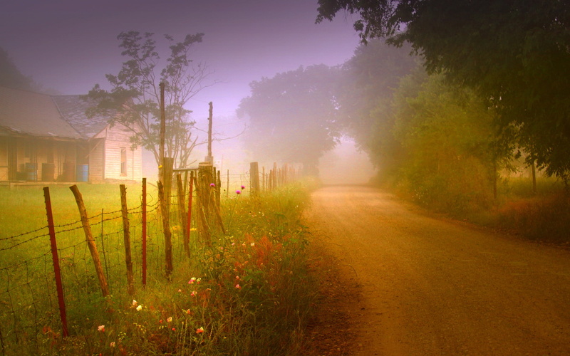 no People, meadow, spooky, nature, lens flare, light - Natural Phenomenon, blue, mist, fog, garden, mystery, agriculture, dawn, sunset, outdoors, night