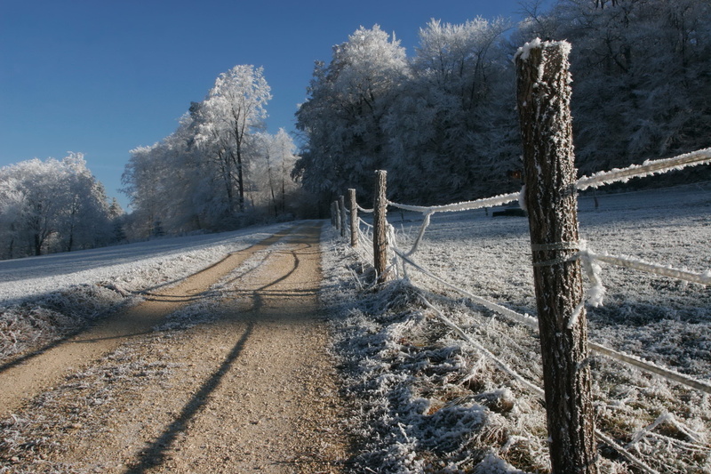 mountain, no People, rural Scene, the way forward, stakes, gray hair, land, tree, ice, direction, cold, snow, road, 2K, brown, tranquility, fence, nature