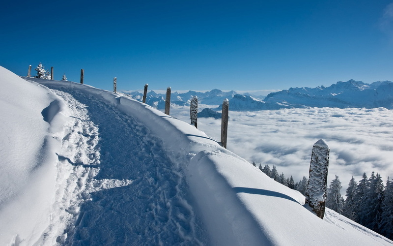 road, ski Slope, mountain Peak, tree, day, lifting, cold - Temperature, sunlight, no People, mountain, cold temperature, landscape, pine, sport, snow, skiing