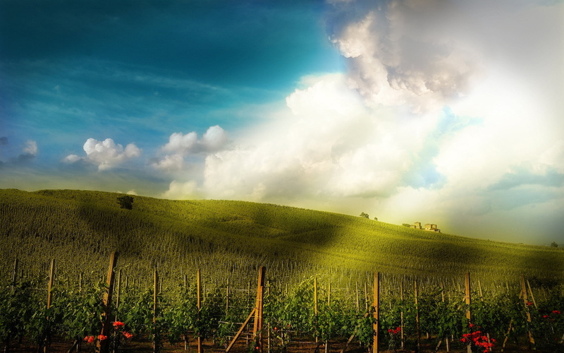 scenics, grass, tuscany, day, beauty In Nature, meadow, sunlight, backgrounds, idyllic, dusk, rural Scene, blue, cloudscape, no People, scenics - nature